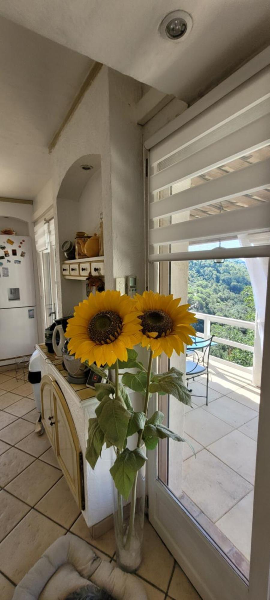 L'Etoile De Nice Villa Colomars Kültér fotó